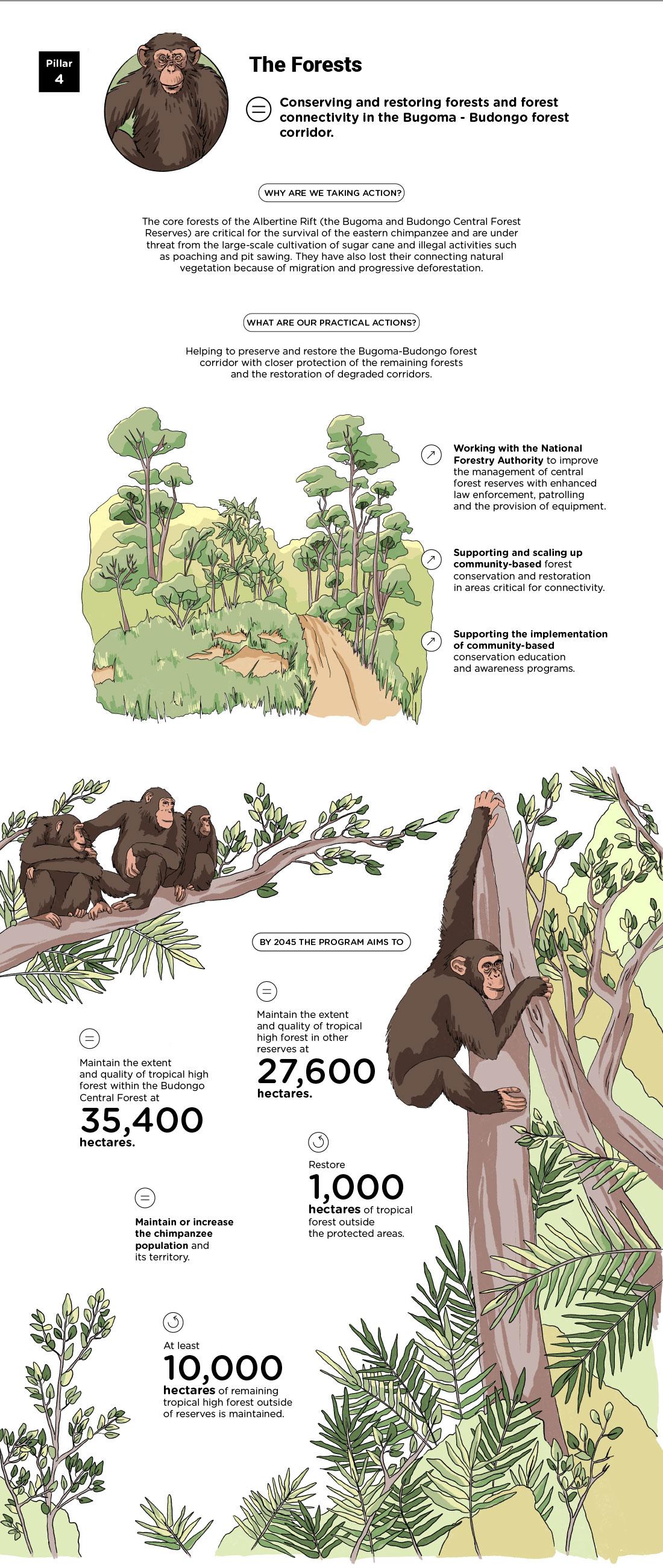 Infographics « Pillar 4: The Forests » - see detailed description hereafter